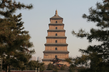 Terra-cotta Warriors & Xi