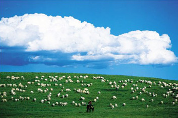 Hohhot Tour to Grassland and Desert 