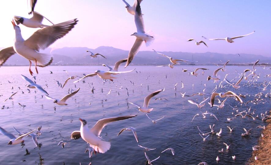 Yunnan Monments in Spring Festival