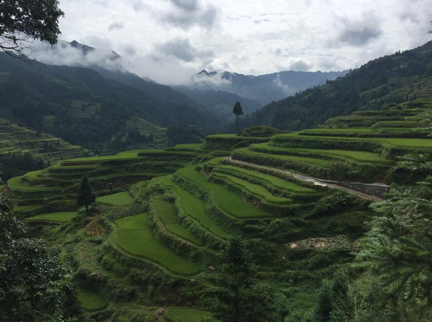 Guizhou Hidden Tribes Hike