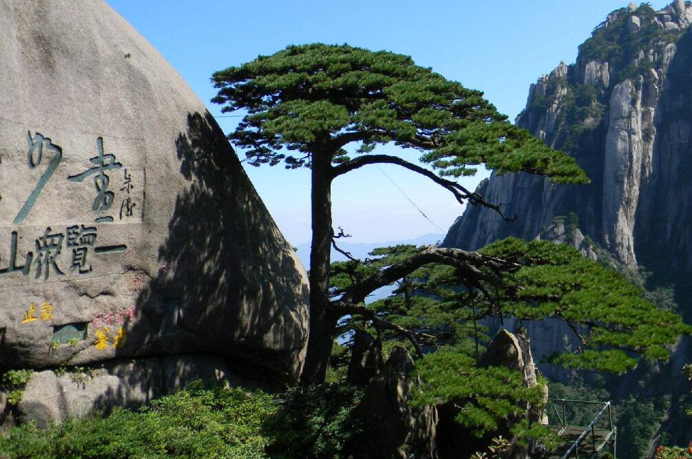 Yellow Mountain (Huangshan)Hiking Tour