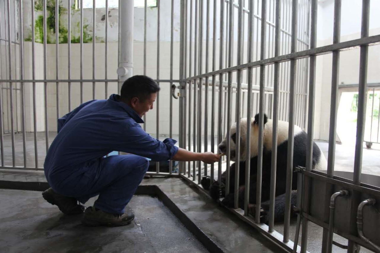 Going Straight to West Sichuan 